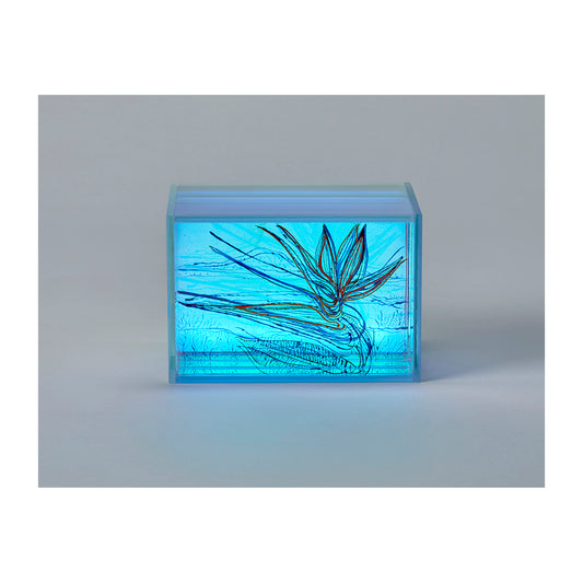 Spectroscopic Continuum #15