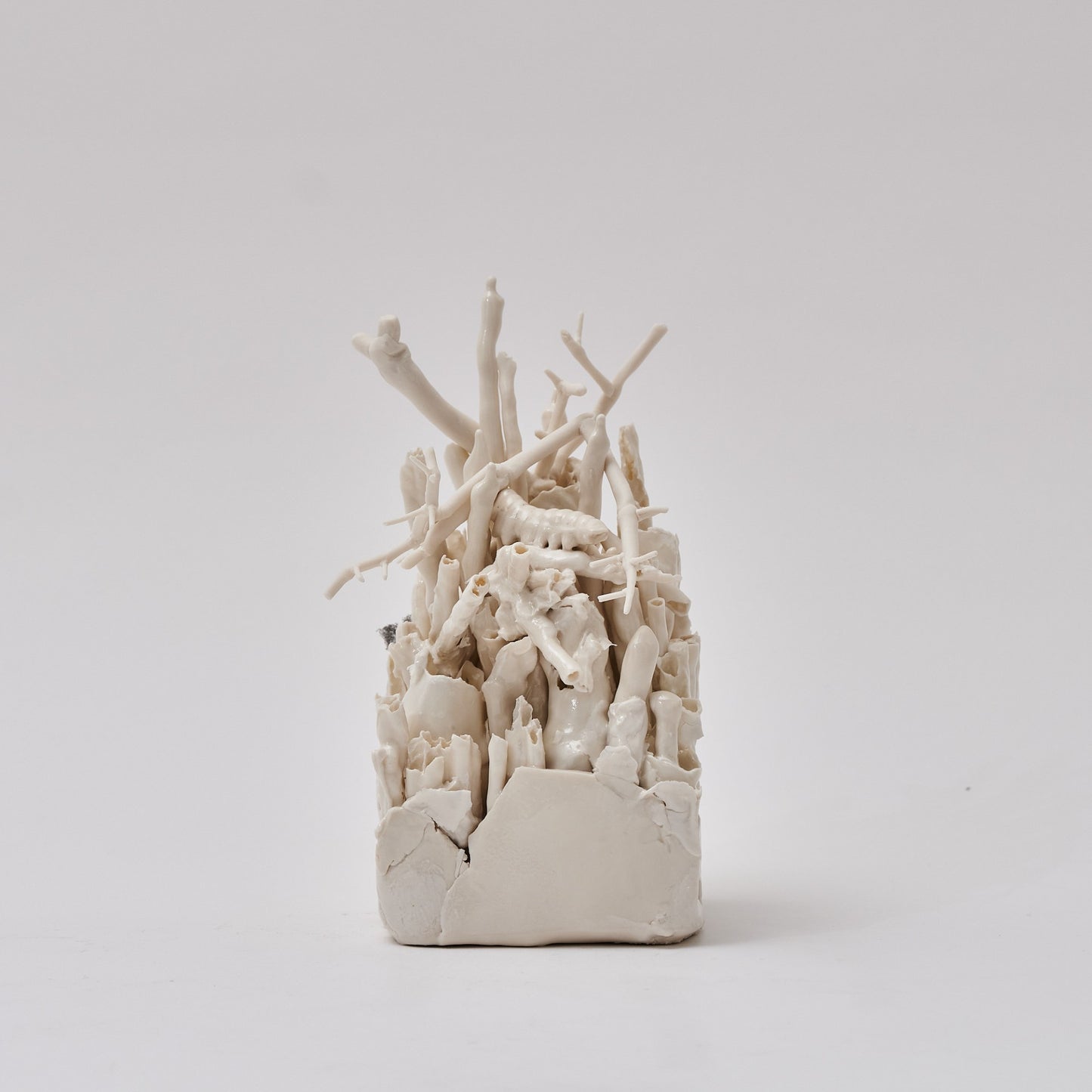 Language of Tears XIV