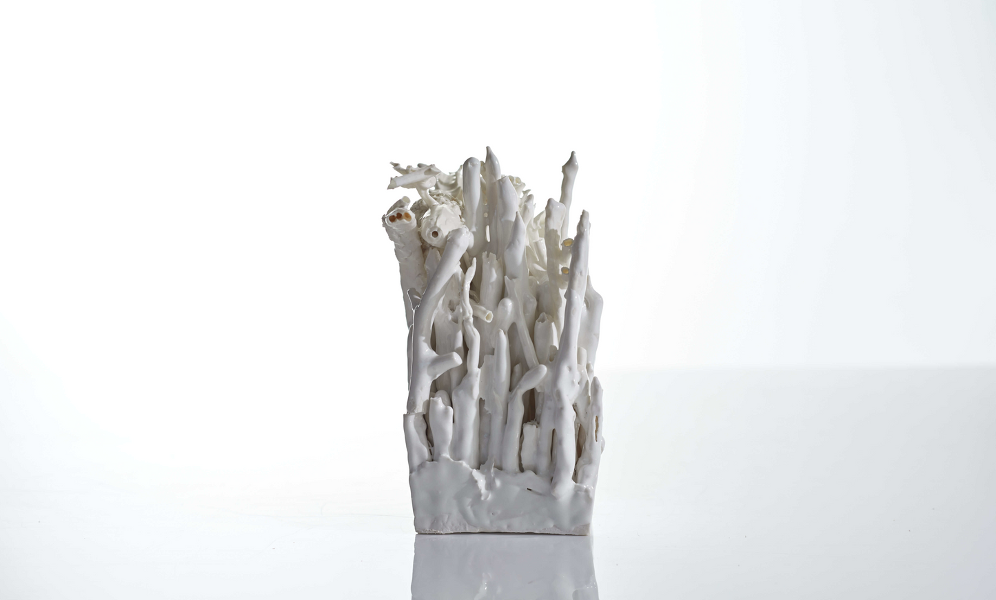 Language of Tears XIII