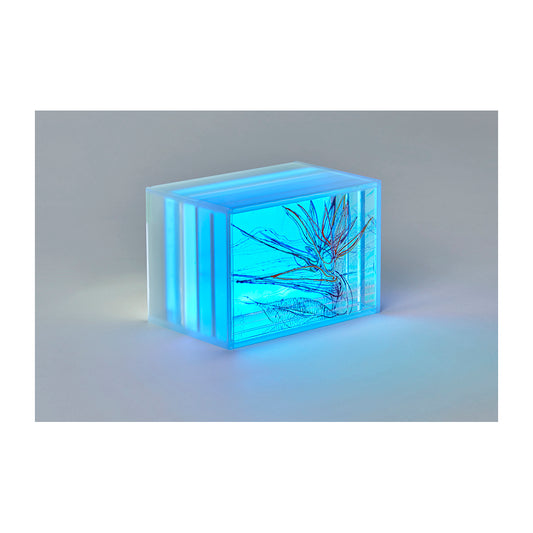 Spectroscopic Continuum #15