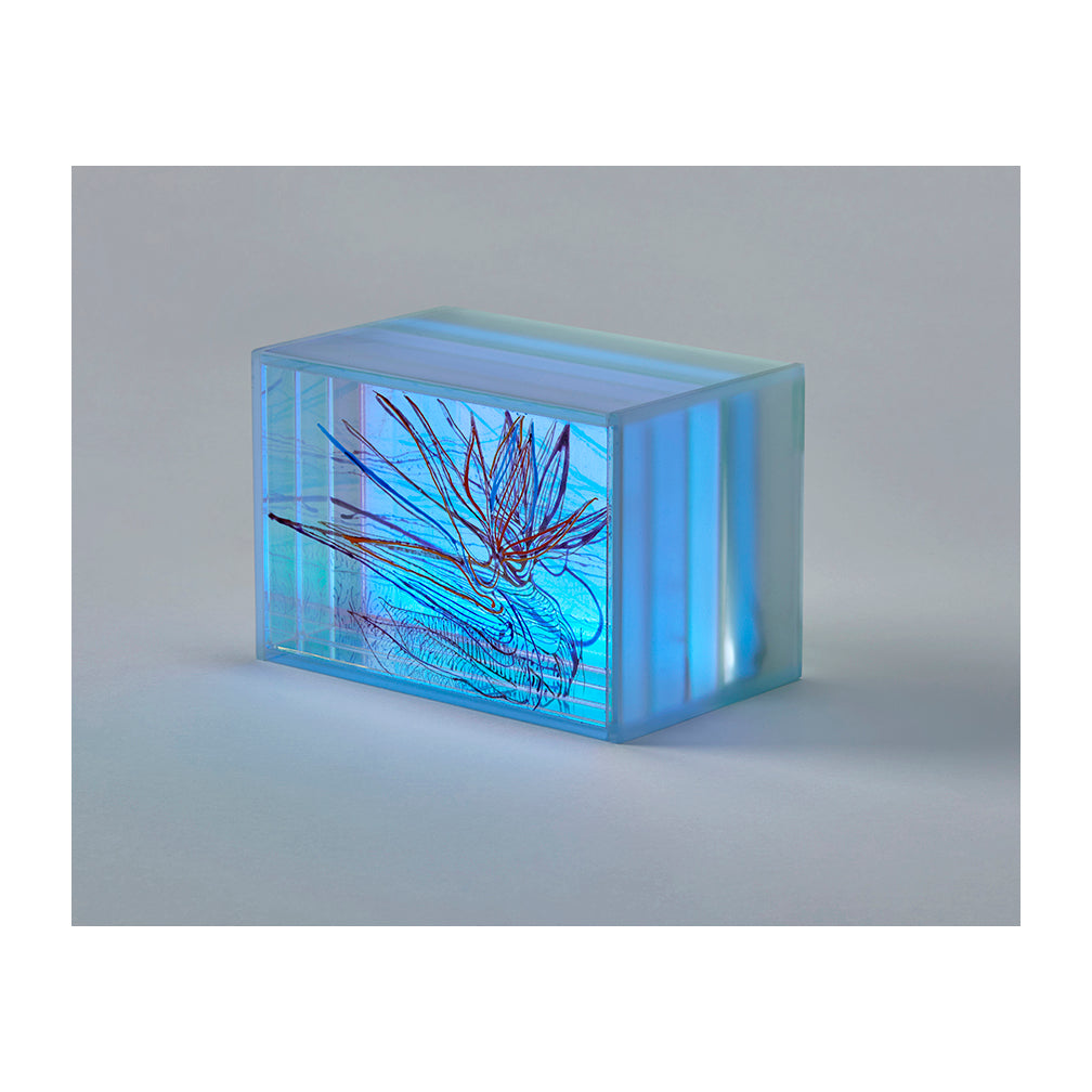 Spectroscopic Continuum #15