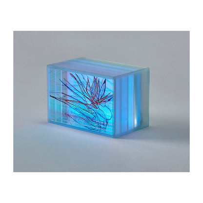 Spectroscopic Continuum #15