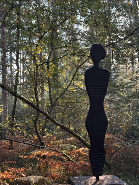 Shadow