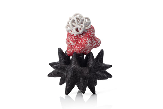 Baby Cloud Bundle on Pollinating Creature Black Red White