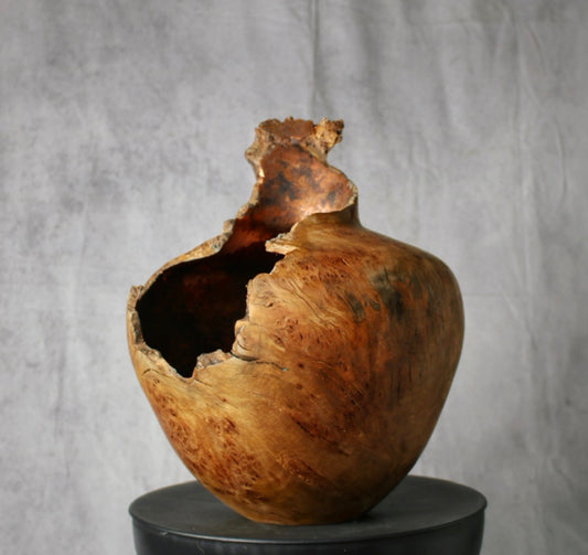 Hollow Heart