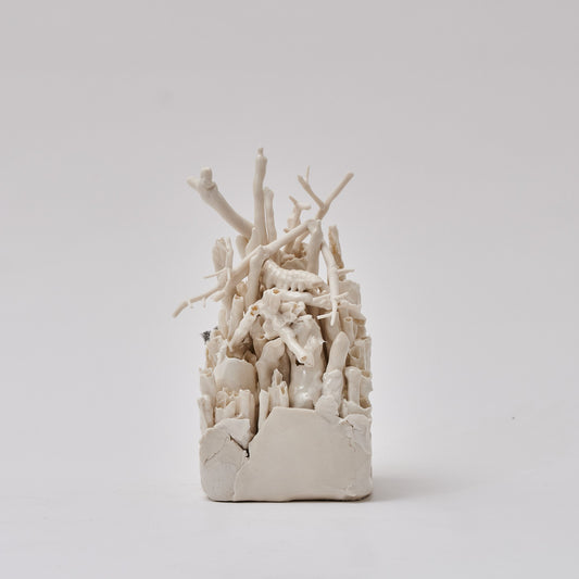 Language of Tears XIV