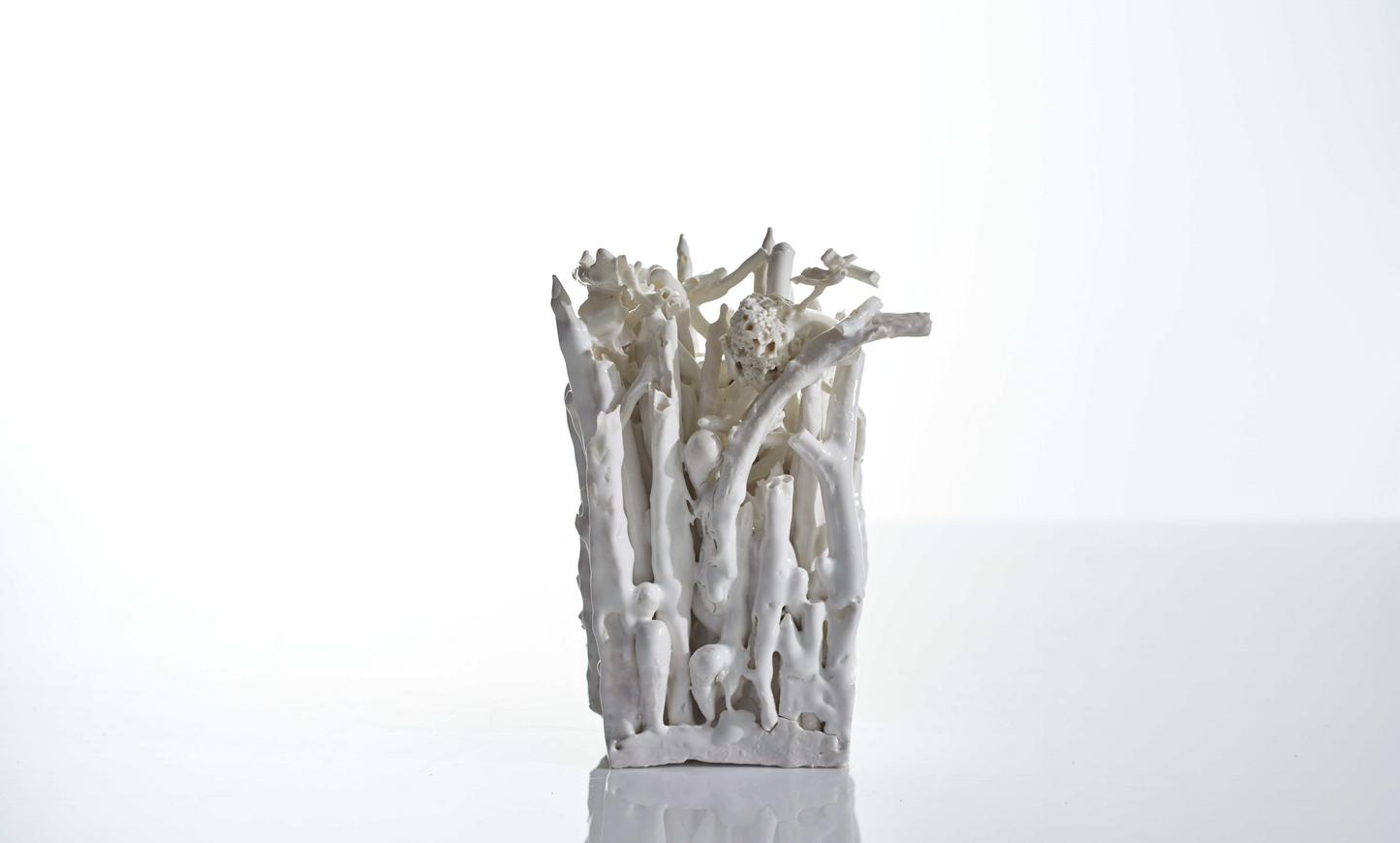 Language of Tears XIII