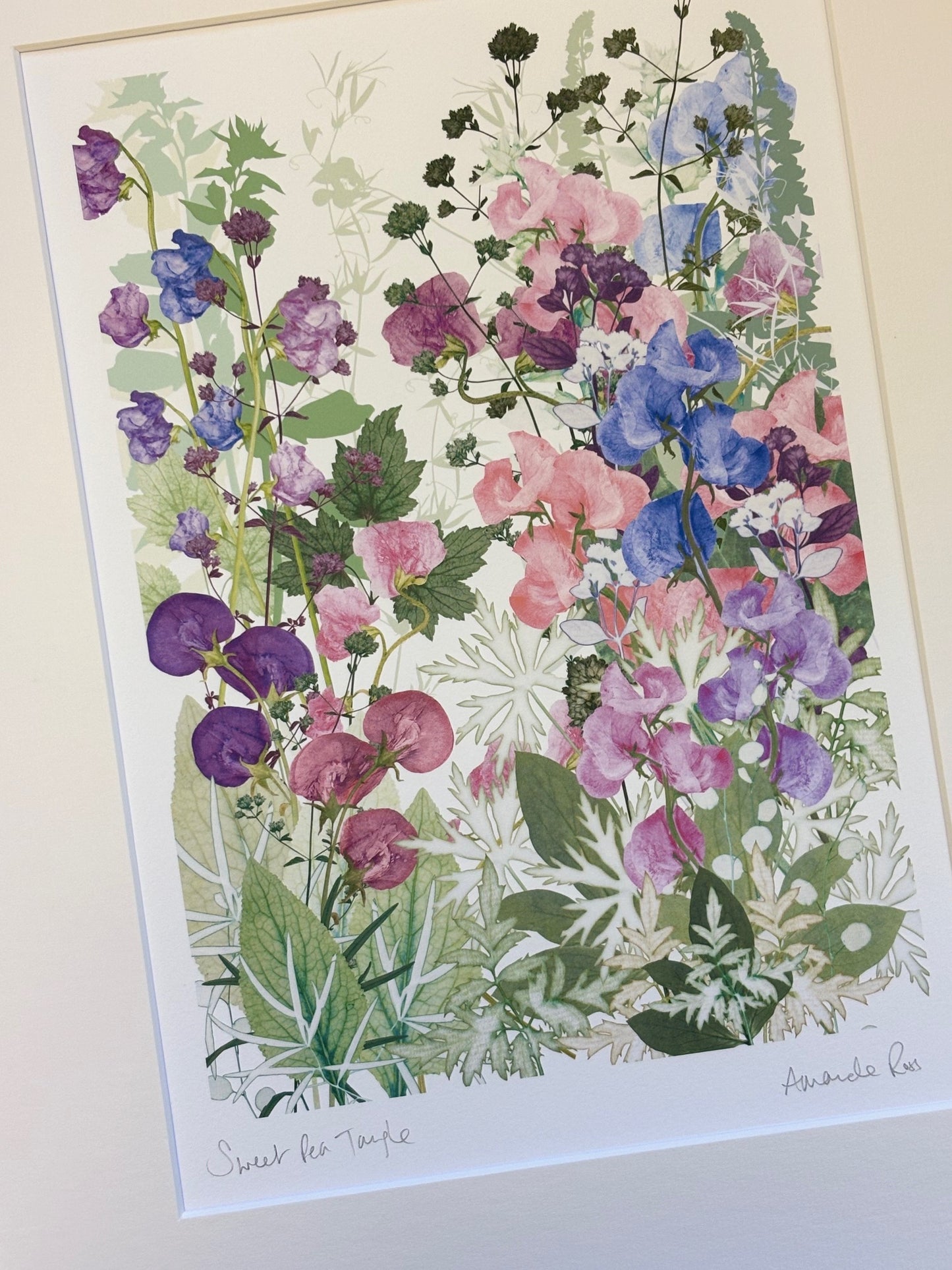 Sweet Pea Tangle Giclee Print