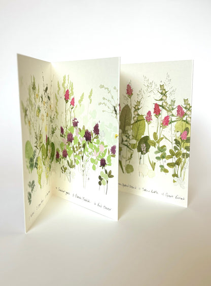 Wildflower Meadow Concertina Book
