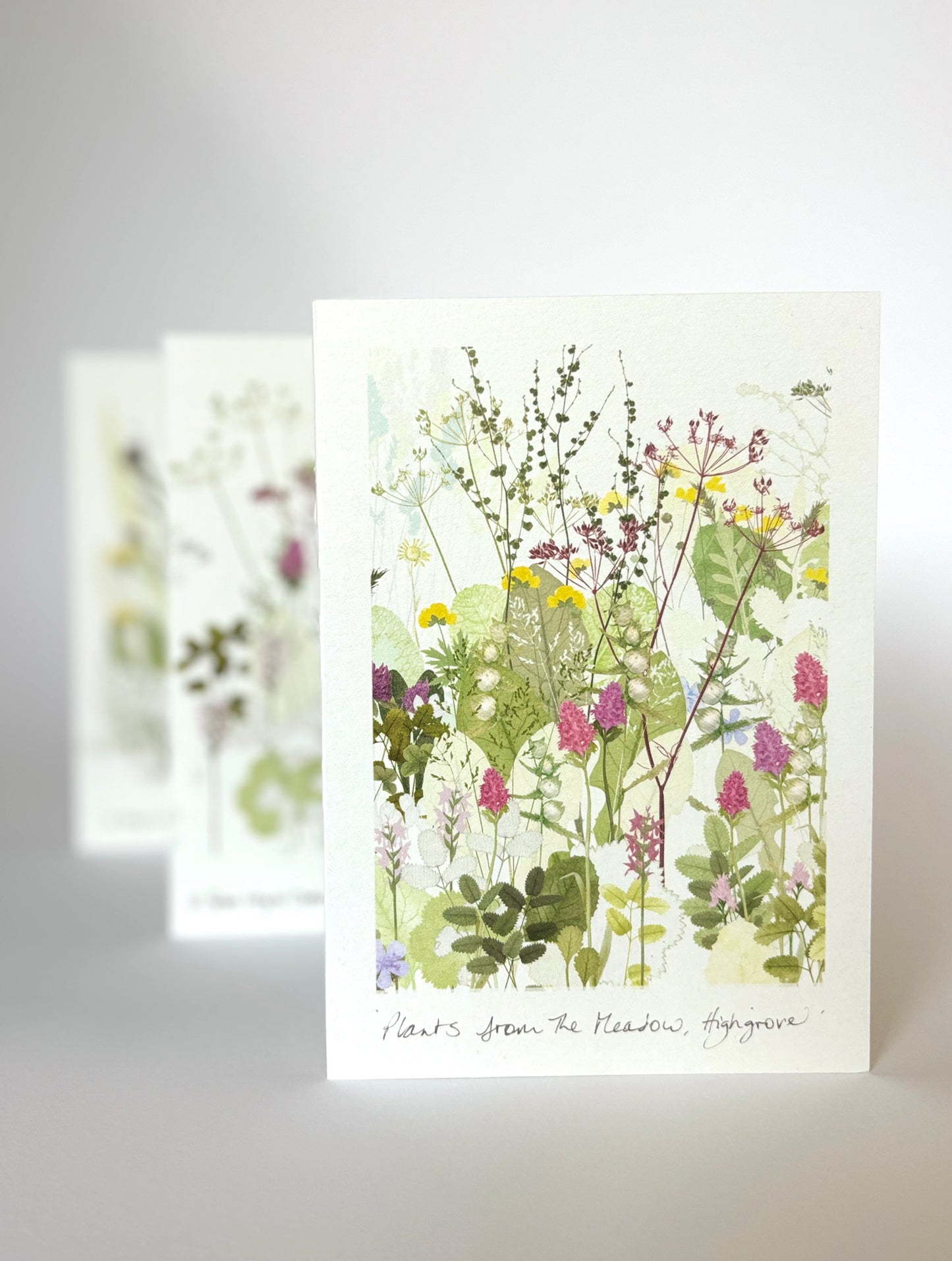 Wildflower Meadow Concertina Book