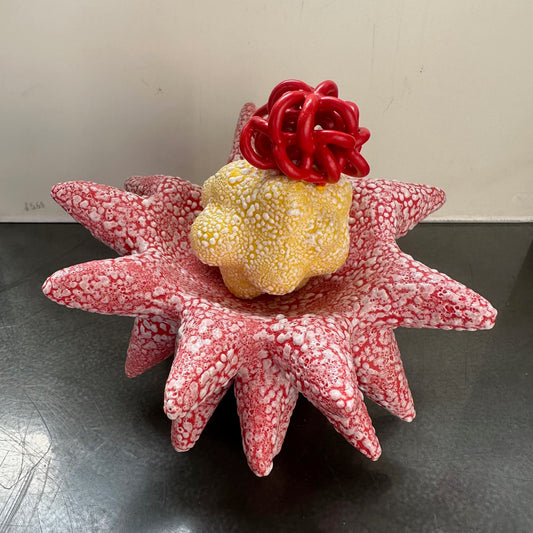 Miniature Yellow Cloud Bundle in Red Pollinating Creature