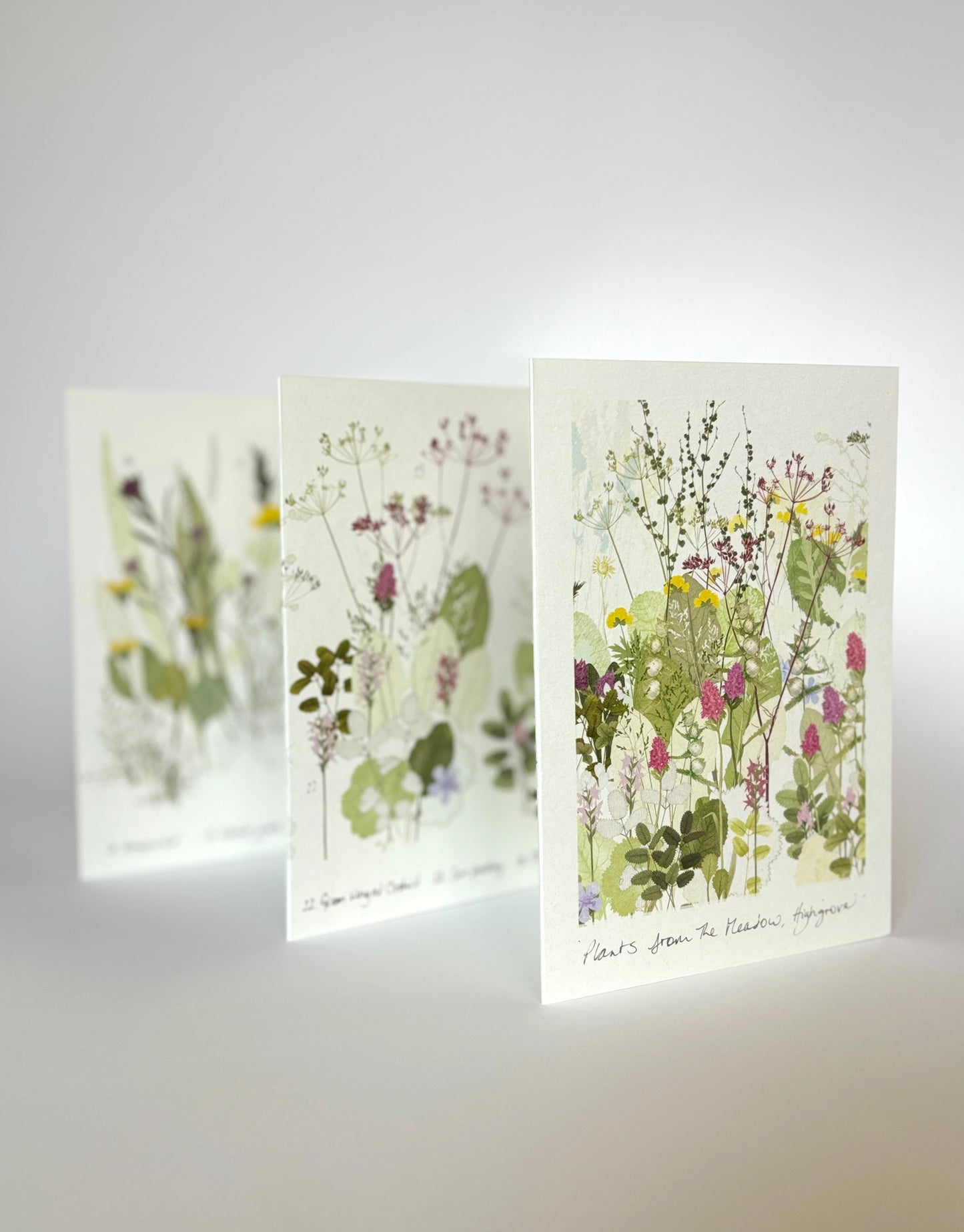 Wildflower Meadow Concertina Book