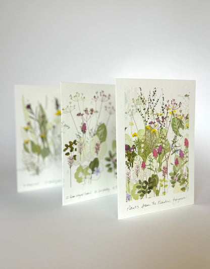 Wildflower Meadow Concertina Book